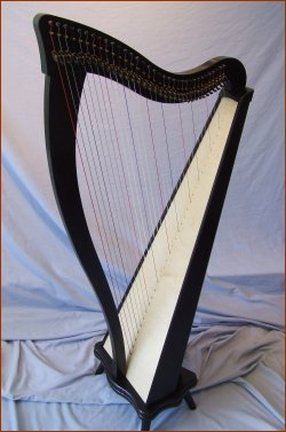 Picture of Dusty Strings Ravenna 34D in black